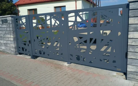 Image00005